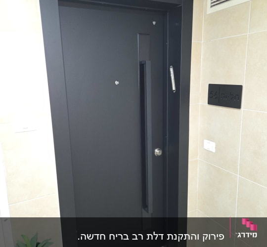 דלת שחורה עם ידית ארוכה ומחצלת בכניסה